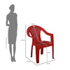 Nilkamal Forest Plastic Arm Chair