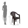 Nilkamal Forest Plastic Arm Chair
