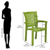 Nilkamal Tulip Plastic Arm Chair