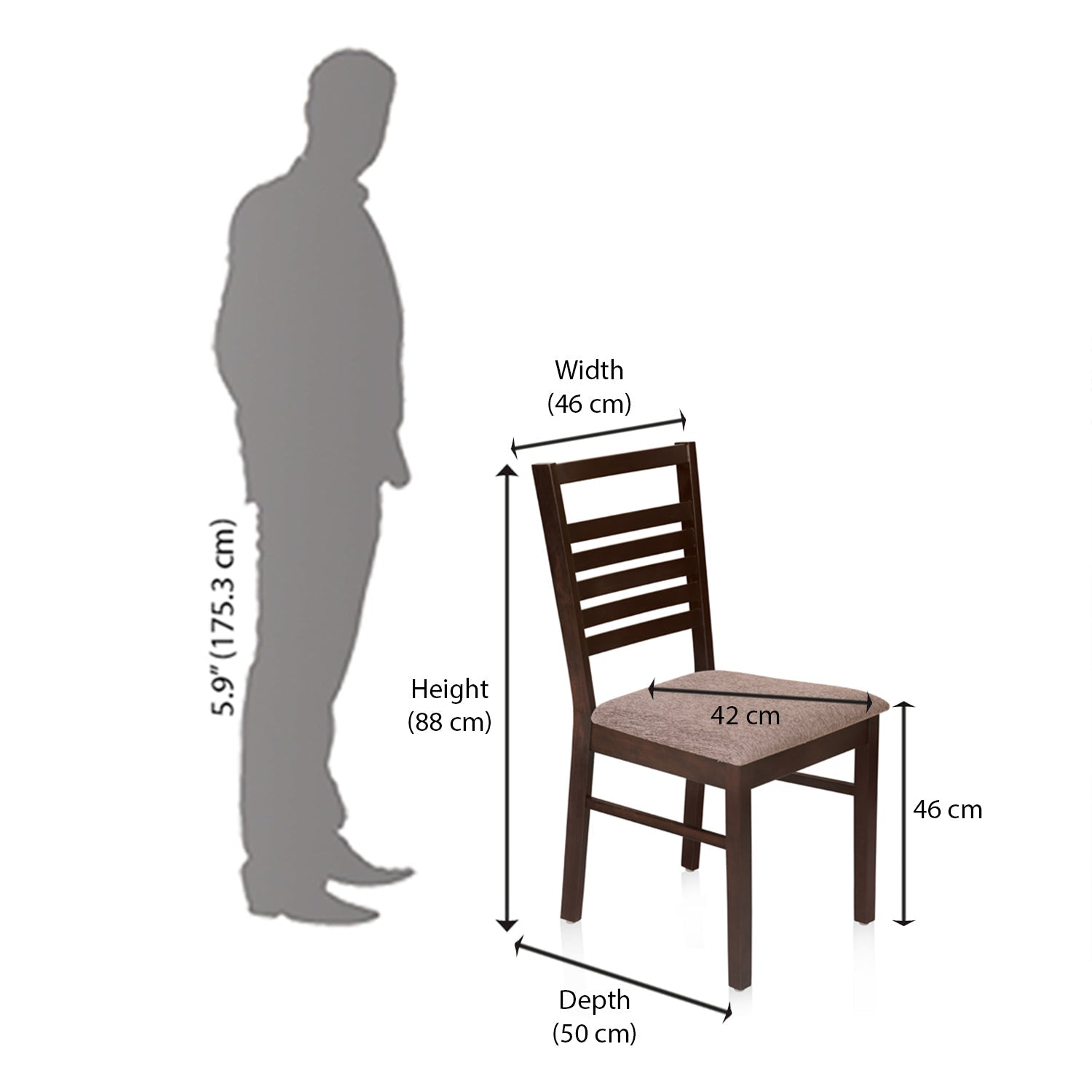 Nilkamal Gem Dining Chair (Cappuccino)