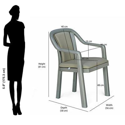 Nilkamal Signature Chair with with Metallic Look and Light Beige Cushion