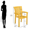 Nilkamal Tulip Plastic Arm Chair