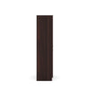 Nilkamal Crystal 2 Door Wardrobe (New Wenge & Natural Ebony)