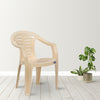 Nilkamal CHR2155 Plastic Arm Chair