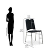 Nilkamal Contract 05 without Arm Visitor Chair (Black)