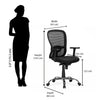 Nilkamal Alba Mid Back Mesh CTS Chrome Base Office Chair (Black)