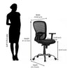 Nilkamal Alba Mid Back Mesh CTS Chrome Base Office Chair (Black)