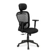 Nilkamal Alba High Back CTS Chair (Black)