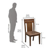 Nilkamal Arnold Dining Chair (Walnut)