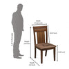 Nilkamal Arnold Dining Chair (Walnut)