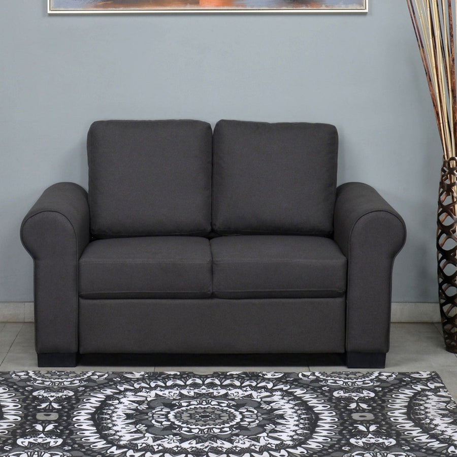 Nilkamal Array 2 Seater Bill Arm Sofa (Dark Grey)