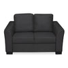 Nilkamal Array 2 Seater Mike Arm Sofa (Dark Grey)