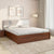 Nilkamal Asta Premier Bed With Hydraulic Storage (Walnut)