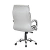 Nilkamal Belgrade High Back Office Chair