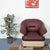 Nilkamal Bright Leatherette 1 Seater Sofa (Maroon Beige)