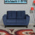 Nilkamal Brilliance 2 Seater Sofa (Blue)