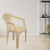 Nilkamal CHR2041 Plastic Arm Chair (Marble Beige)