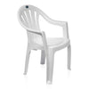 Nilkamal CHR2045 Plastic Arm Chair