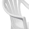 Nilkamal CHR2045 Plastic Arm Chair