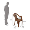 Nilkamal CHR2045 Plastic Arm Chair