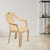 Nilkamal CHR2051 Plastic Arm Chair (Marble Beige)