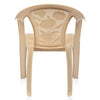 Nilkamal CHR2060 Plastic Arm Chair