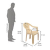 Nilkamal CHR2060 Plastic Arm Chair