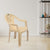 Nilkamal CHR2060 Plastic Arm Chair