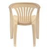 Nilkamal CHR2101 Plastic Arm Chair