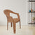 Nilkamal CHR2104 Plastic Arm Chair (Maple Cluster)