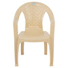 Nilkamal CHR2107 Plastic Arm Chair