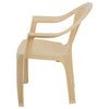 Nilkamal CHR2107 Plastic Arm Chair