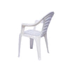 Nilkamal CHR2123 Plastic Arm Chair