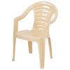 Nilkamal CHR2123 Plastic Arm Chair