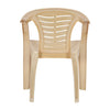 Nilkamal CHR2155 Plastic Arm Chair