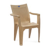 Nilkamal CHR2209 Plastic Arm Chair