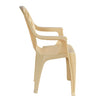 Nilkamal CHR2231 Plastic Arm Chair