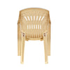 Nilkamal CHR2231 Plastic Arm Chair