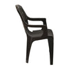 Nilkamal CHR2231 Plastic Arm Chair