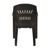 Nilkamal CHR2231 Plastic Arm Chair