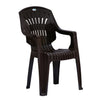 Nilkamal CHR2231 Plastic Arm Chair