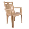 Nilkamal CHR2240 Plastic Arm Chair