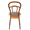 Nilkamal CHR4040 Plastic Armless Chair (Weather Brown)