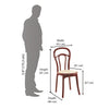 Nilkamal CHR 4040 without Cushion Armless Chair