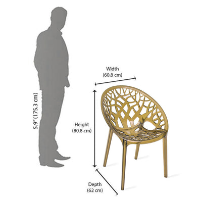Nilkamal Crystal Polycarbonate Armless Chair