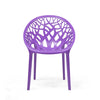 Nilkamal Crystal Polypropylene Premium Chair (Voilet)