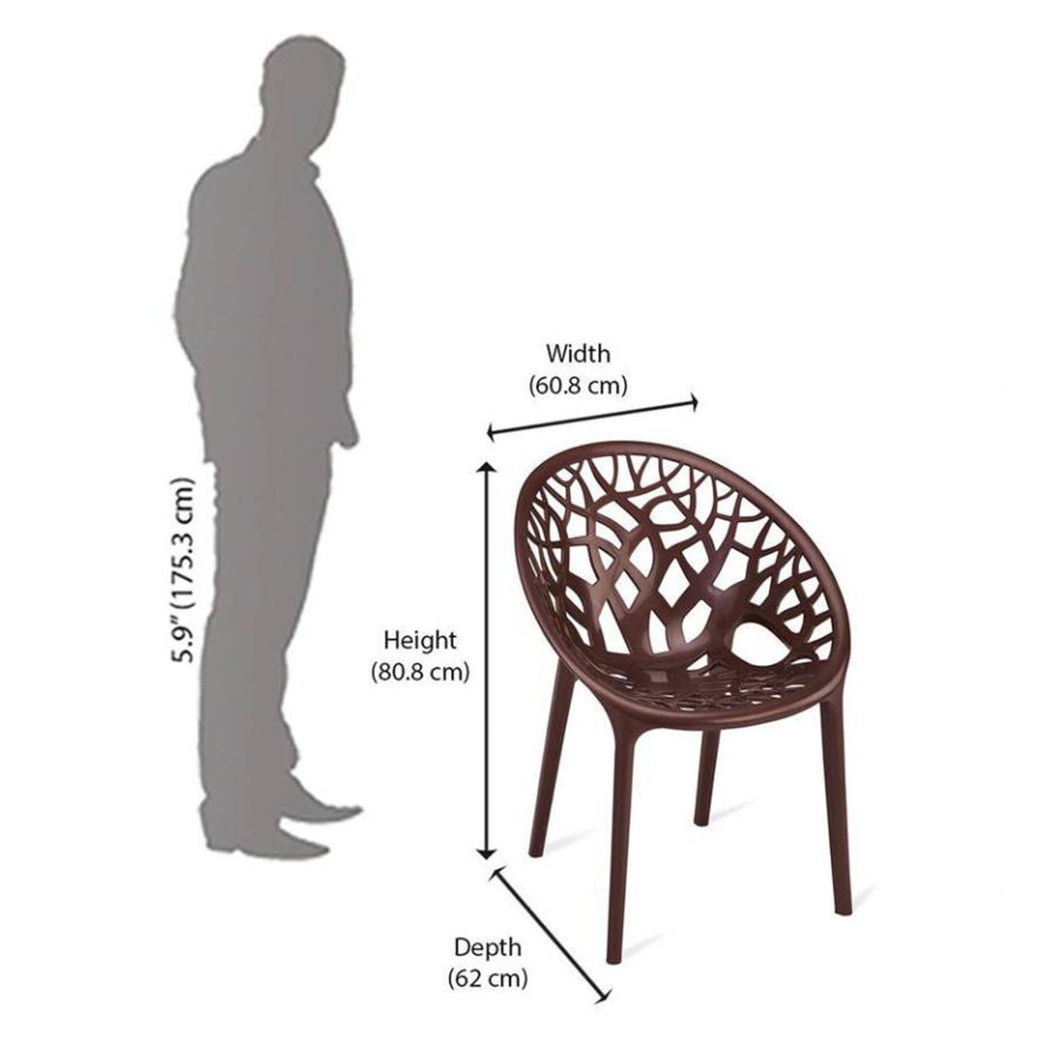 Nilkamal Crystal Polypropylene Armless Chair (Weather Brown)