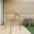 Nilkamal Club Plastic Arm Chair (Pine Beige)