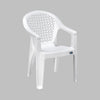 Nilkamal Comfy Plastic Arm Chair