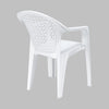 Nilkamal Comfy Plastic Arm Chair